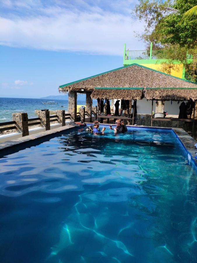 Blue Ribbon Dive Resort Mabini  Dış mekan fotoğraf